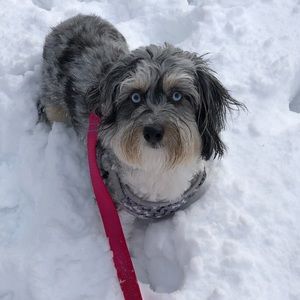 Meet your Posher, Maureen